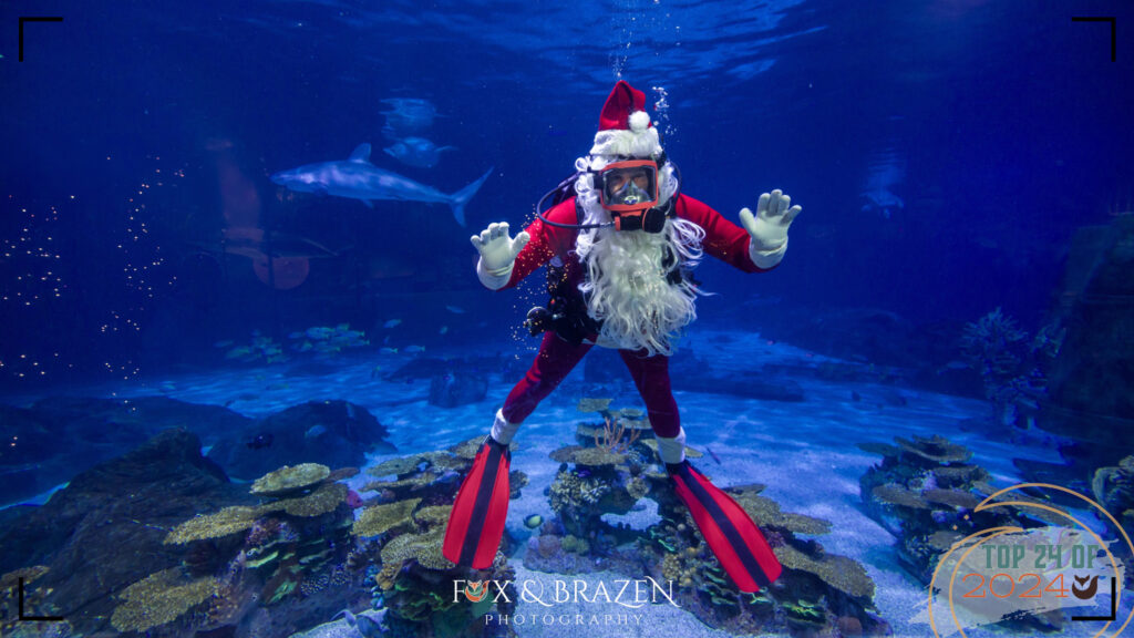 Santa underwater in scuba gear with marine creatures.