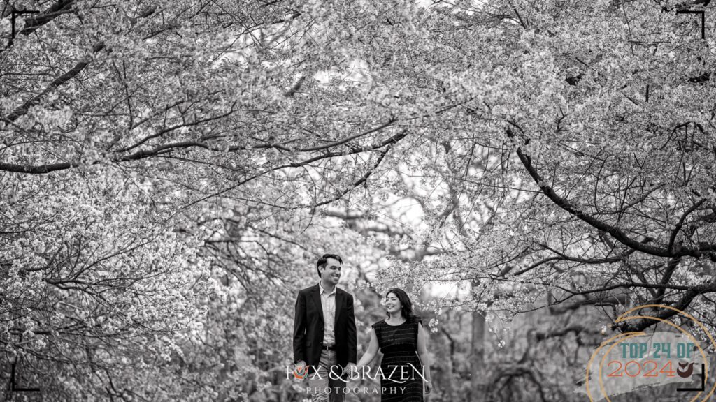 Romantic couple walking through cherry blossom trees at Longwood Gardens.